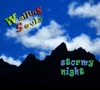 Stormy Night