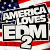 America Loves EDM, Pt. 2, 2013