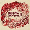 Original Raw Soul III artwork