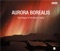 The Ambush: Adagio - Karelia Philharmonic Orchestra & Oleg Soldatov lyrics