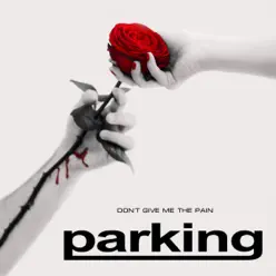 Don`t Give Me the Pain - Single - Pàrking