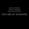 You Are My Sunshine - EP