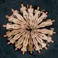 The Dinner Party