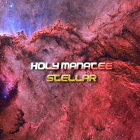Holy Manatee - When the Sun Was God