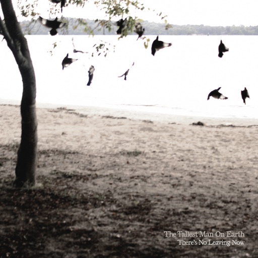 The Tallest Man On Earth - There