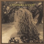 Cassandra Wilson - Shelter from the Storm