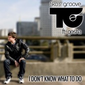 I Don't Know What to Do (Tiko's Groove Rework) [feat. Gosha] artwork