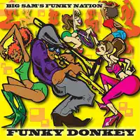 Funky Donkey — Big Sam's Funky Nation