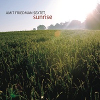 Amit Friedman - You Must Go