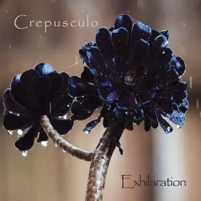Exhilaration - Crepúsculo