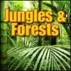 Sound Effects Library - Jungle, South America - South America: Daytime Ambience, Birds, Close Up Forests, Jungles & Swamps