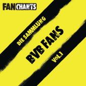 Heja BVB (Heja BVB) [feat. BVB Fans]