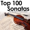 Sébastien Valter Sonata for Arpeggione and Piano in A Minor, D. 821: I. Allegro moderato Top 100 Sonatas: The Very Best of Classical Music
