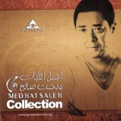 Medhat Saleh Collection artwork