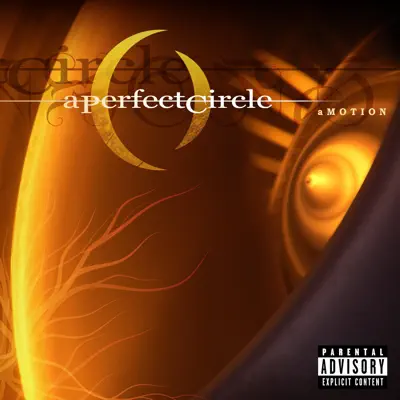 aMOTION - A Perfect Circle