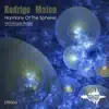 Rodrigo Mateo - Harmony of the Spheres (Micrologue Remix)