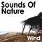 Wind In the Aspen Woods - Pro Sound Effects Library lyrics