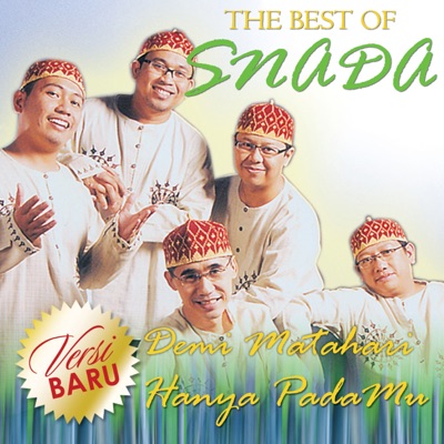 The Best Of Snada