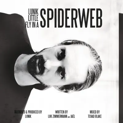 Little Fly In a Spiderweb - Single - Lunik