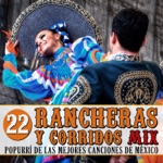 Mariachi Guadalajara - Medley: El Rey / Volver, Volver / Fallaste Corazón / El Jinete / Grítenme Piedras al Campo / Las Mañanitas