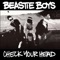 The Skills to Pay the Bills - Beastie Boys lyrics