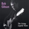 And Lovin' You (feat. Anne Hills) - Bob Gibson lyrics