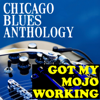 Chicago Blues Anthology Got My Mojo Working - Various Artists