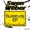 WTF (Original Mix) [feat. DJ Rich-Art] - Swen Weber lyrics