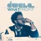 What Profit - Dwele lyrics