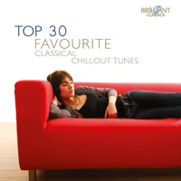 Top 30 Favourite Classical Chillout Tunes - Various Artists