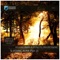 Slashing Aura (Hakan Akcan Remix) - Volkan Erman & Hypnotic Progressions lyrics