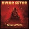 From Womb to Waste - Dying Fetus lyrics