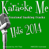 Story of My Life (Backing Track in the style of One Direction ) [Backing Track] - Backing Tracks Minus Vocals