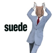 Suede - Animal Nitrate