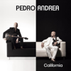 Pride and Joy - Pedro Andrea