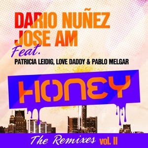 Honey - The Remixes, Vol. 2 (feat. Patricia Leidig, Love Daddy & Paul Melgar) - Single
