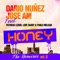 Honey (Ruben Inside Remix) - Dario Nuñez & Jose Am lyrics