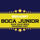 Boca Junior (Radio Edit) artwork