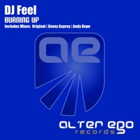 Burning Up - Single - DJ Feel