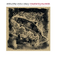 Edwyn Collins - 31 Years
