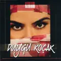 DIVANE ASIK GIBI