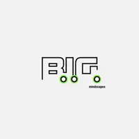 Optimistic Vibes — B.I.G.