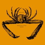 Wrong / The Road To War - Single