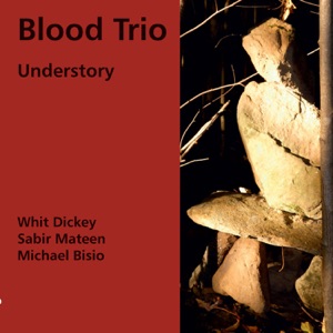 Understory (feat. Sabir Mateen, Michael Bisio & Whit Dickey)