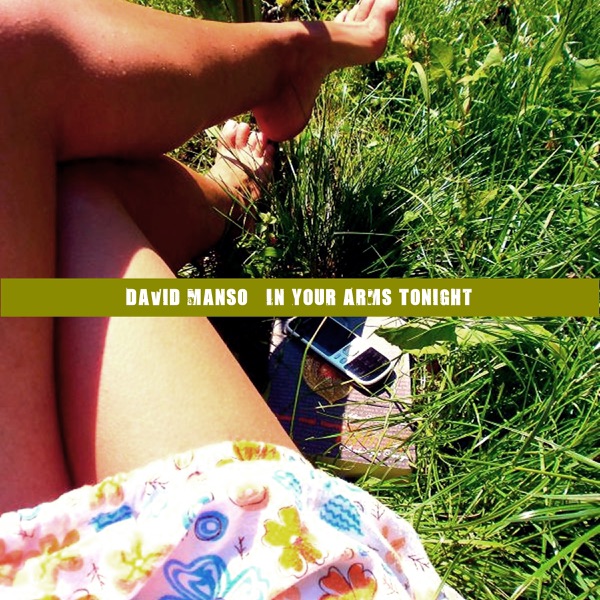 In Your Arms Tonight - Single