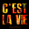 C'est la vie (French Version Remix) - Khaled