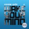 Wake Your Mind - Cosmic Gate & Cary Brothers lyrics