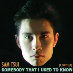 Somebody That I Used To Know - Single - Sam Tsui