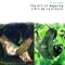 Like a Log - Silvain Vanot lyrics