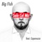 Solo col Mic (feat. Caparezza) - Big Fish lyrics